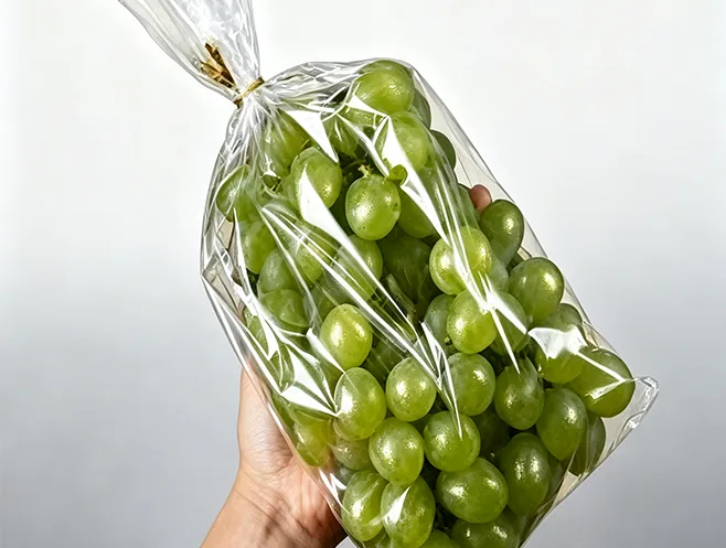 Anti-Fog-Bopp-Folien verbessern die Verpackung frischer Lebensmittel und lösen wichtige Herausforderungen bei der Konservierung von Obst und Gemüse.